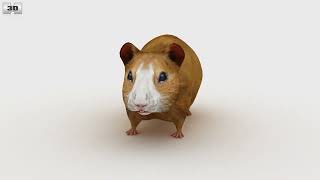 Hamster Low Poly 3D model by 3DModels.org