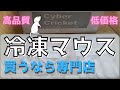 【冷凍マウス】オススメのショップ紹介です　CyberCricket【冷凍エサ】【ピンクマウス】【ファジーマウス】サイバークリケット　冷凍エサ　冷凍食品