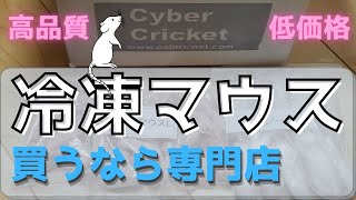 【冷凍マウス】オススメのショップ紹介です　CyberCricket【冷凍エサ】【ピンクマウス】【ファジーマウス】サイバークリケット　冷凍エサ　冷凍食品