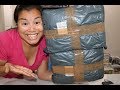 Geek Gear "Best Ever Mystery Mixed Past Box" Unboxing x4