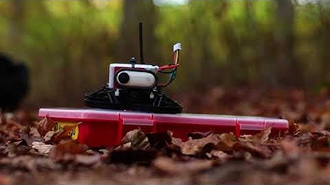 First FPV flight with my tiny whoop / cinewhoop and Insta360 Go (Beta85X V2)