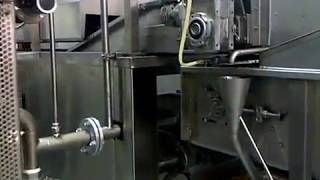 Brovind Frying Line FA 500 for cashew nuts and peanuts