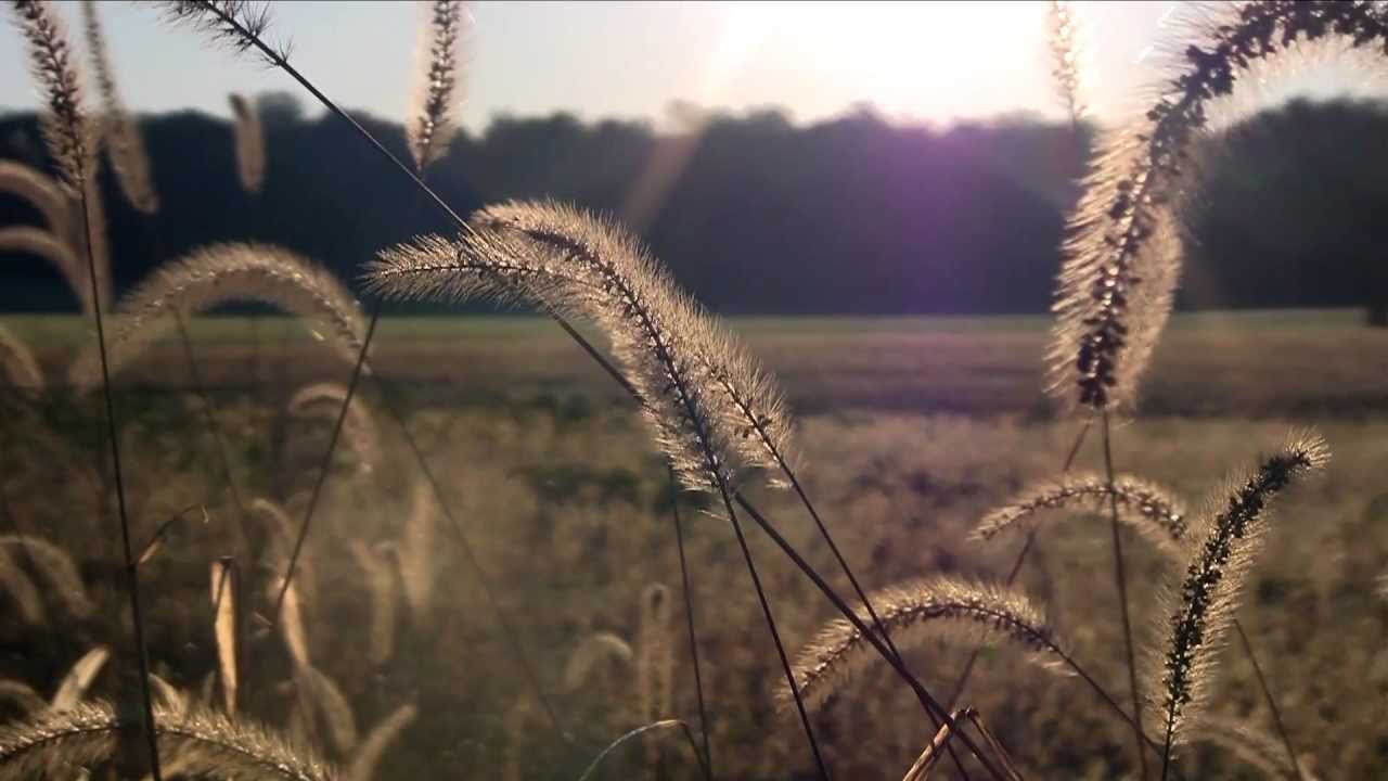 King George County, Virginia