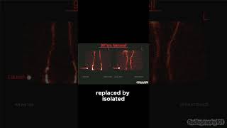 X Ray vs  Nuclear Scan  Structure vs  Functio