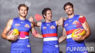 Bob Murphy Tribute
