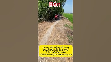 4 công đất ruộng,xã Nhơn hoà,tân thạnh,Long an.giá:600tr hết đất.đt:0906375373