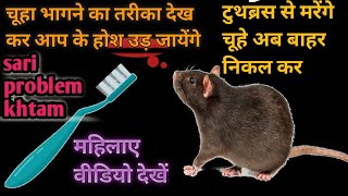 Get rid of mouse \/Rat killer trick \/chuhe bhagane ka aasan tarika\/best rat killer