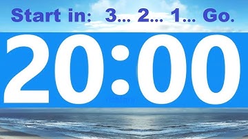 20 Minute Countdown Timer  Beep & Time Remaining at Each Minute NO ADS DURING TIMER  No Music