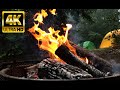 Campfire in Forest 4K UHD. Crackling Fire Sounds for Relaxing, Sleeping, Studying