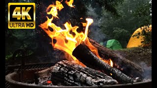 Campfire in Forest 4K UHD. Crackling Fire Sounds for Relaxing, Sleeping, Studying