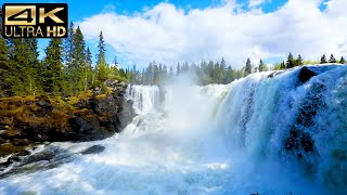 Relaxing Music Along With Beautiful Nature Videos - Relaxing Piano Music 4K For Stress Relief