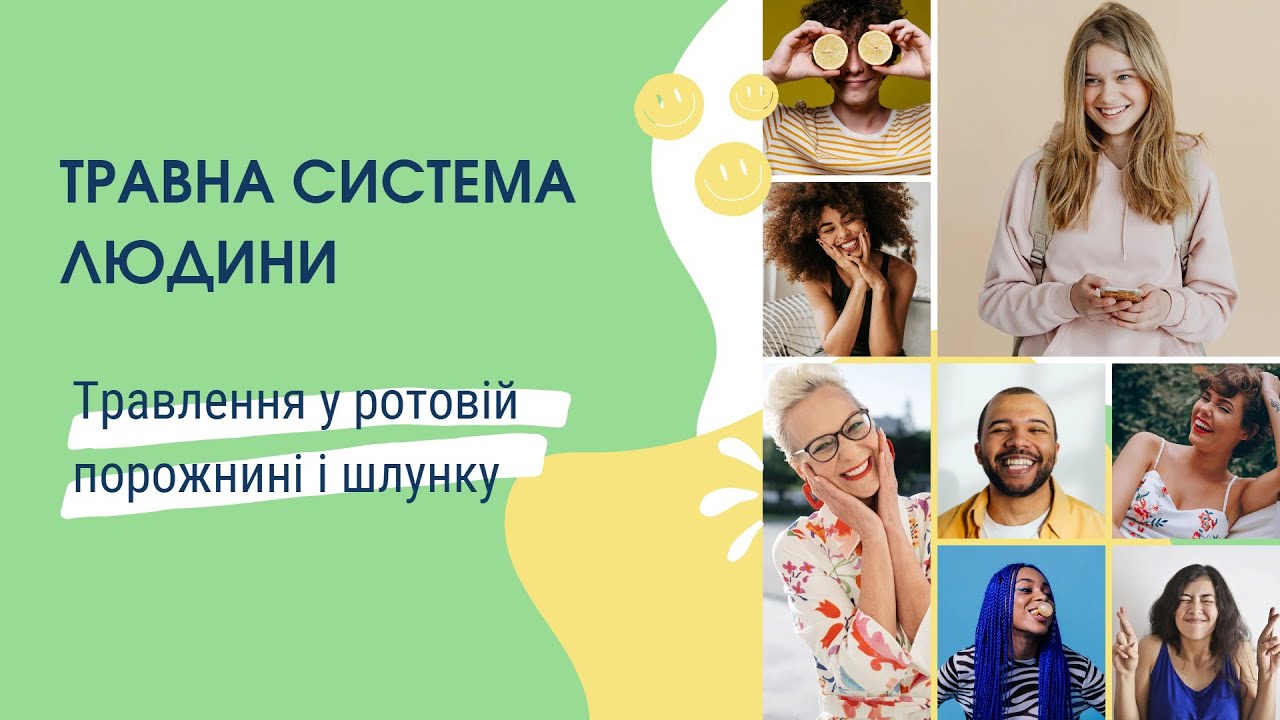 Травна система людини. Травлення у ротовій порожнині і шлунку - YouTube