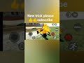 🔥 New Secret Trick in Indian Bike Driving 3D 😱 | Latest Update#shorts #indian