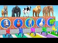 Paint Animals Duck,Tiger,Cow,Lion,Gorilla,Elephant,T-Rex,Hippo Animal ESCAPE ROOM CHALLENGE Game New