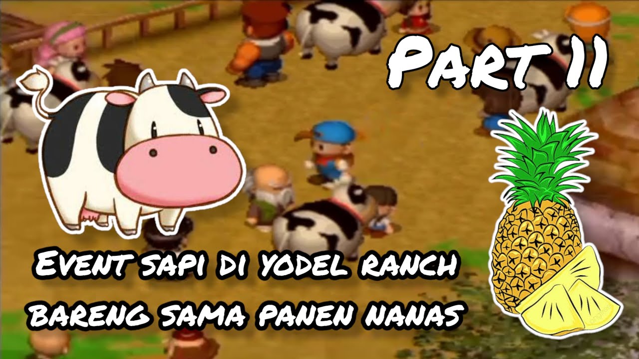 Event sapi di yodel ranch dan waktu panen nanas Harvest moon back to