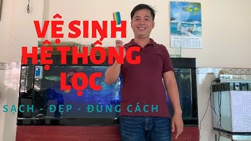 Nuôi cá rồng: Vệ sinh lọc hồ cá rồng l Thế Nam l Clean the aquarium filter