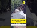 YAPONİYADA “DUJUAN” FƏLAKƏTİ