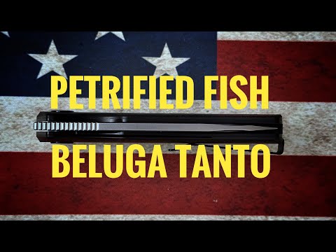 An interesting Budget Knife! The Petrified Fish Beluga Tanto.