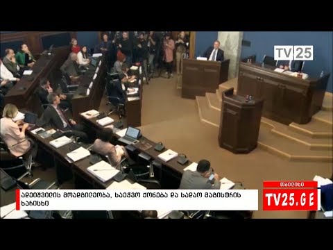 ადეიშვილის მოადგილეობა, საეჭვო ქონება და სადაო მაგისტრის ხარისხი