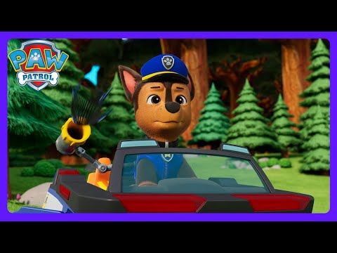 PAW Patrol - Szalona przygoda w kuli! 💥 | Bajki dla dzieci | WildBrain Zoo Polski
