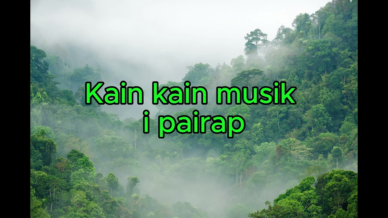 The Sepik Collectives - Sepik Disco lyrics