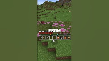 Minecraft Is REPLACING The XP BAR!