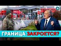 Вторжение с Беларуси! В Литве пресекли провокацию, но угроза сохраняется // Новости