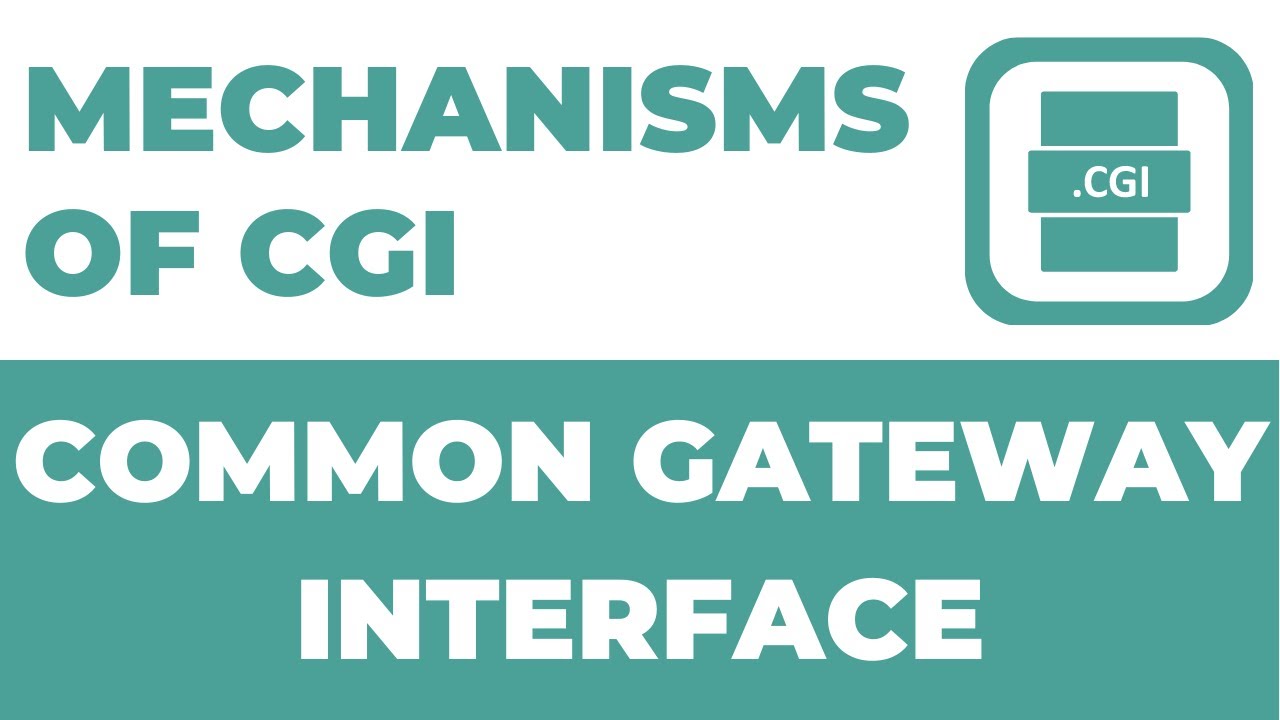 Mechanisms of Common Gateway Interface | CGI Complete Course. - YouTube