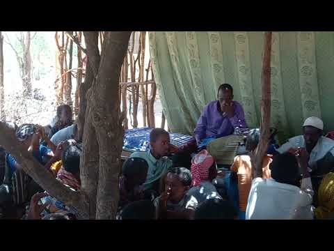 Nashiidaa Haaraya Imala Ilmii