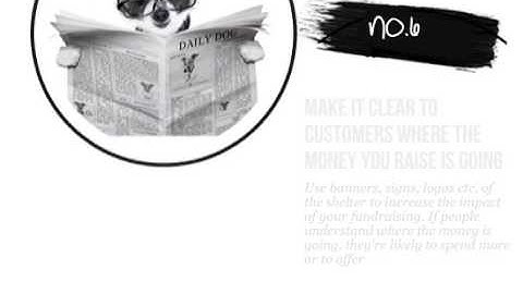 How To Raise Money For An Animal Shelter