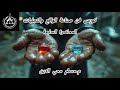 صناعة الواقع ن والقلم وتجلي اسم الله الحي مقام الخلافة والاسم المكنون بين الكاف والنون