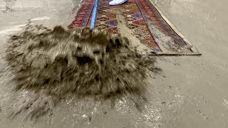 Extremely Dirty Carpet Cleaning -  Relaxing ASMR Carpet Cleaning - ASMR Satisfying Carpet Cleaning