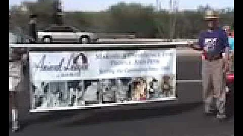 White Elephant Parade 2011.mov