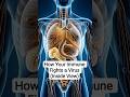 How Your Body Fights a Virus (Inside View) #howyourbodyworks #bodymechanism #humanbody