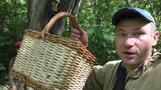 В ЛЕС по ГРИБЫ! Разнообразие ЛЕСНЫХ ГРИБОВ! MUSHROOMS AND FOREST
