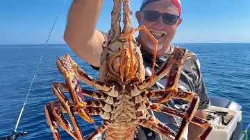 Aragosta Gigante a Bolentino in Adriatico.