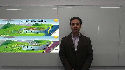 Danial Khojasteh - 3 Minute Thesis, 2020