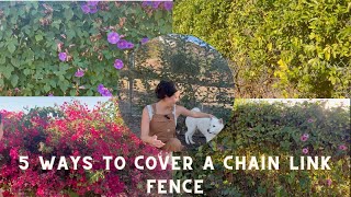 5 Beautiful Ways to Cover Your CHAIN LINK Fence: Pros and Cons