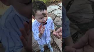 Baby frog jumps out of guy's hand and onto little boys face