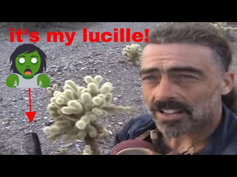 easy way how to remove cholla cactus