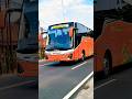 BUS EFISIENSI TELOLET BASURI NGEBUT #shorts #fyp #trending #viral