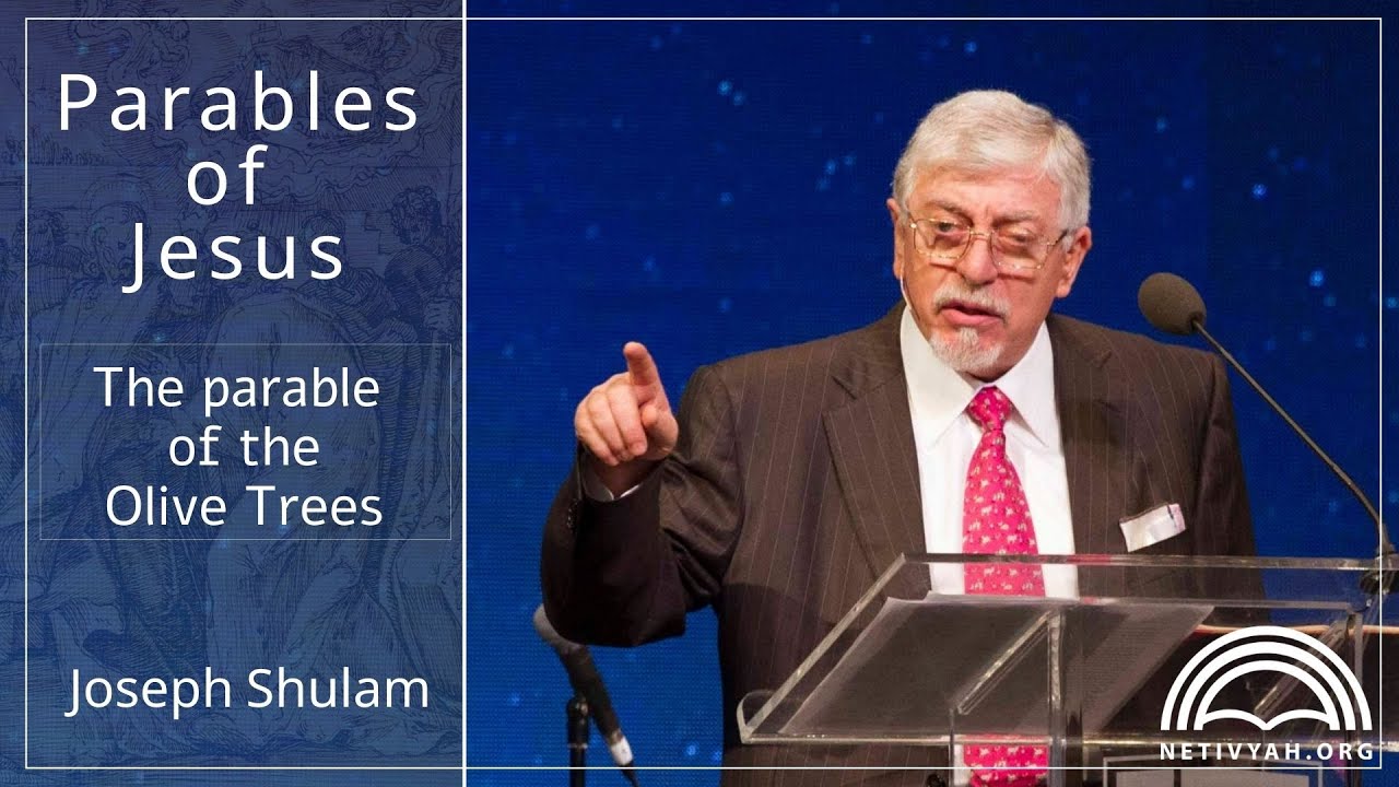 The Parables Of Jesus By Joseph Shulam The Parable Of The Olive Trees Part 3 Of 4 Youtube