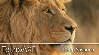 Deep Savanna - Soundscape/World - Royalty Free Music