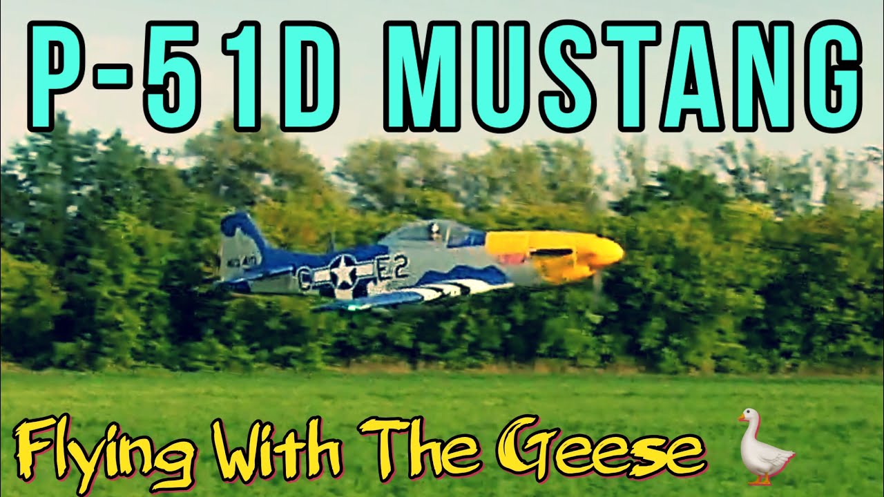 P-51D Mustang...Flying With The Geese