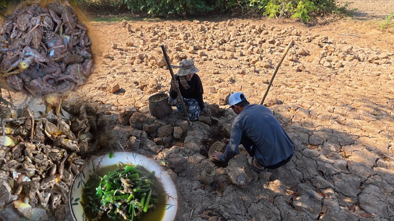 ແກງຂຽດຂາຄຳ | แกงเขียดขาคำ