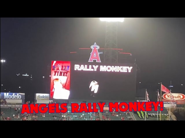 2021 ANGELS RALLY MONKEY!!  2021 Angels Baseball! 