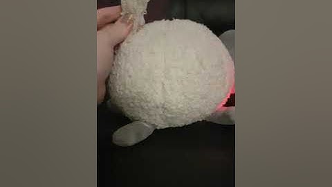 Ewan the dream sheep REVIEW