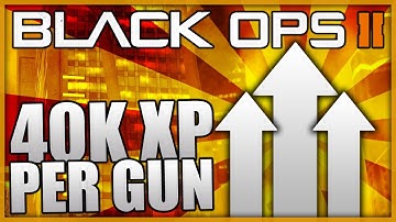 Black Ops 2 - How to get 40,000xp per Gun Fast! - Call of Duty BO2 Tips And Tricks