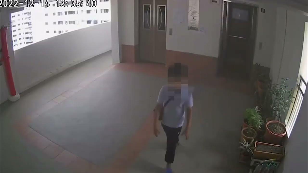 Cat thrown off 22nd storey on 14 Dec YouTube