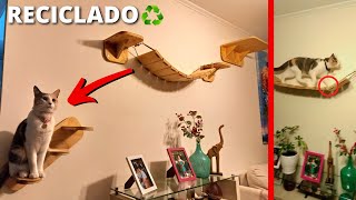 😻GIMNASIO de PARED para GATOS *RECICLADO*♻️ Parte 1 by Háblame De Crear 5,028 views 1 year ago 11 minutes, 11 seconds